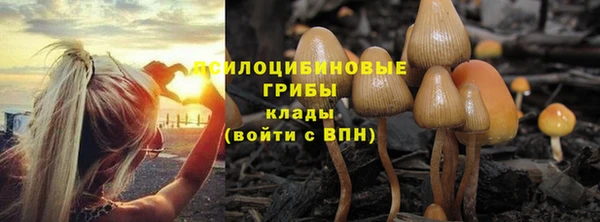 бошки Зеленодольск