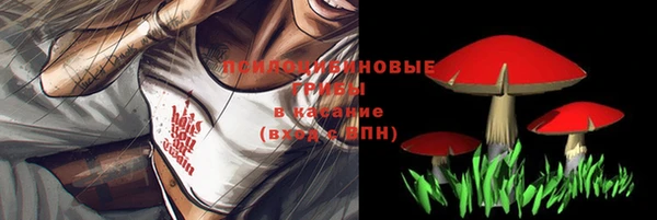 крисы Зеленокумск