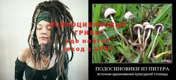 прущие грибы Зерноград