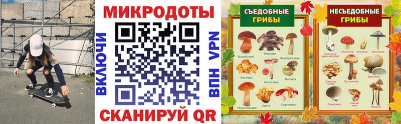 Купить  Оленегорск  Галлюциногенные грибы Cubensis 